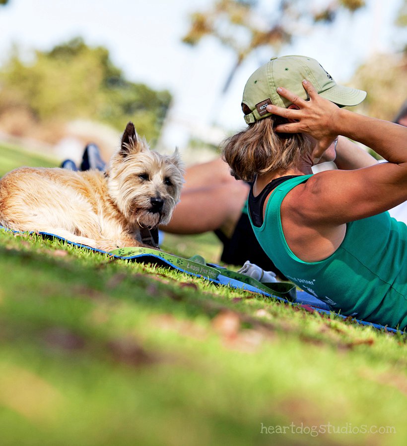 Personal Fitness and Dog Training