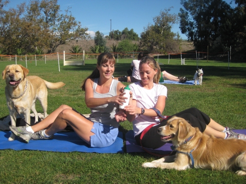 Leash Your Fitness Dog Trainig