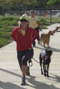 Cathy marcy dog obedience
