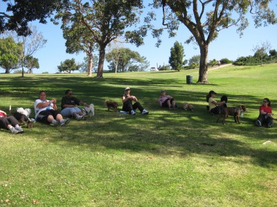 A little core workout in between hill repeats.