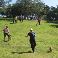 Easier running down hill