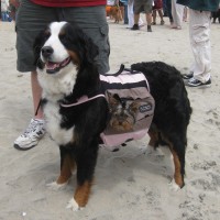 Look closely at the bag..........