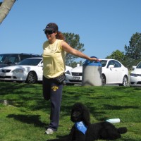 Paula in action