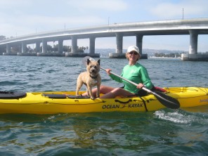 Events Leash Your Fitness