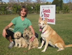 dog obedience and fitness