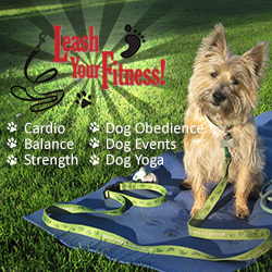 Leash Your Fitness Class & Event Schedule
