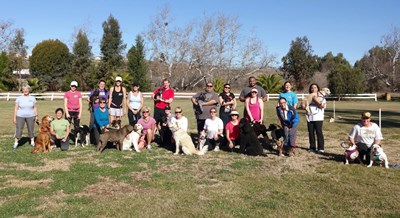 Want to start your own Doggy Fitness Classes & Events?