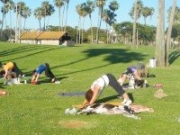 Dog yoga on Mission Bay
