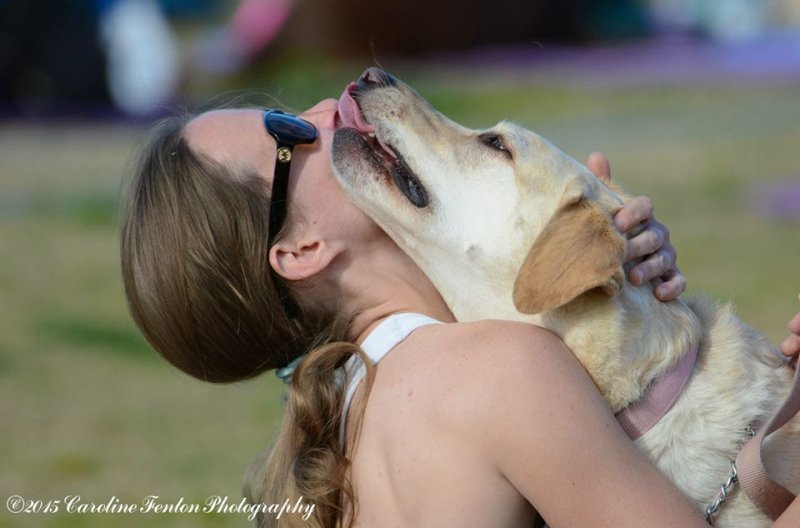 dogkisses