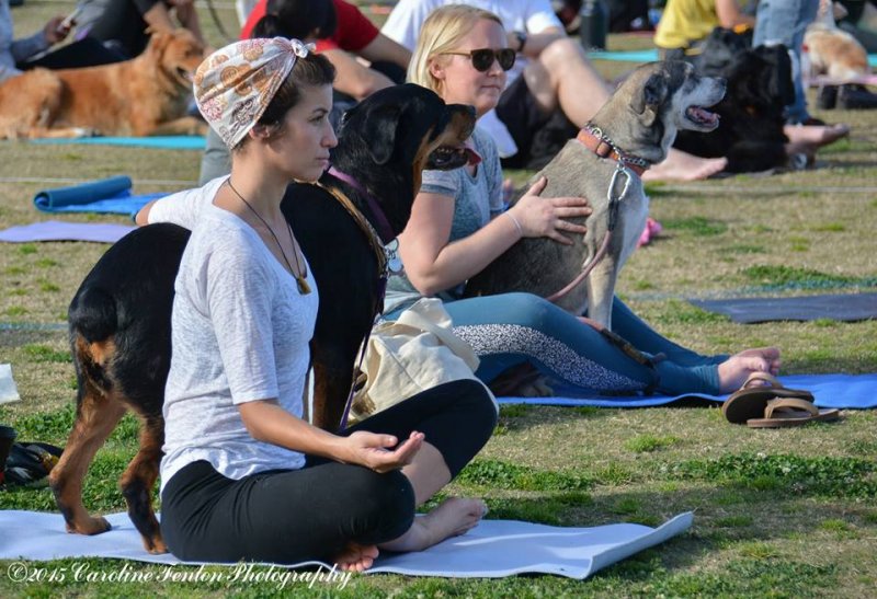 meditate