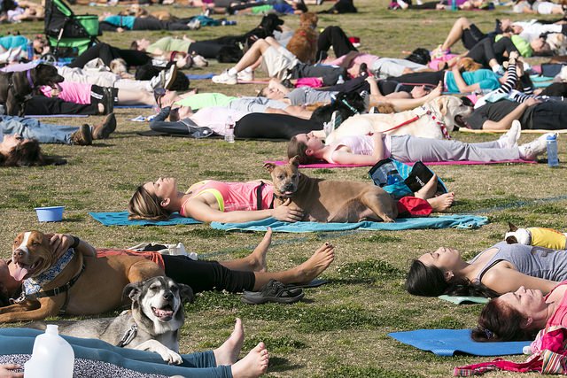 shavasana