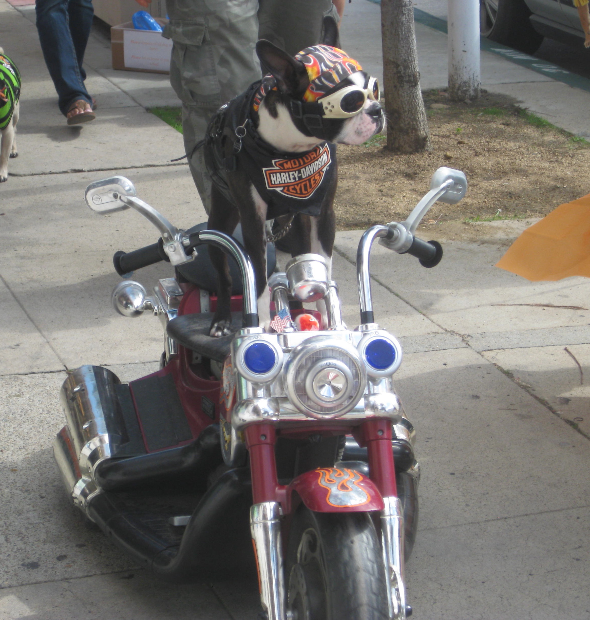 grantham honda motorbikes