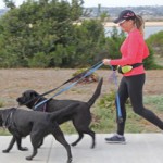 New Fitness Idea Workout With Dogs