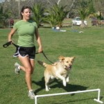 Leash Your Fitness On My Quest to Lose Weight