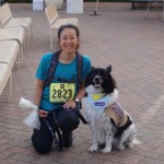 Dogs with fear aggression welcome! Chami's Story...
