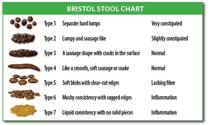 How Many Times A Day Should a Dog Poop? Exploring the Facts 3 bristol stool chart 1