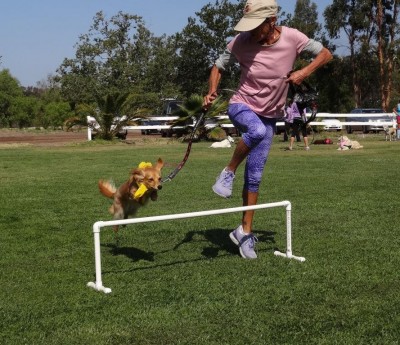 carol and echo jump