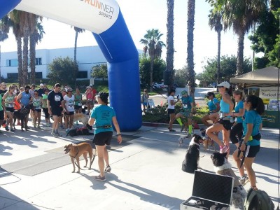 DoggieDashWarmUp