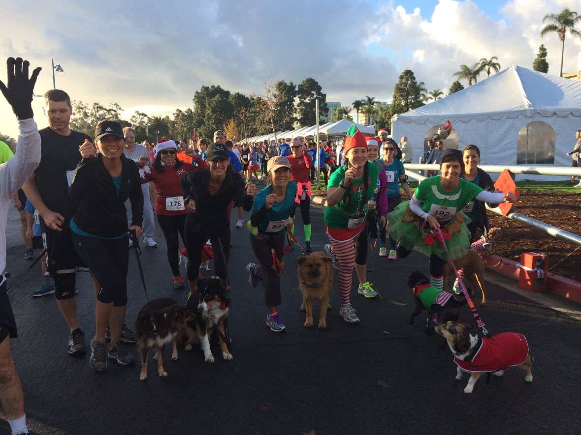 runnersready-1180x885.jpg