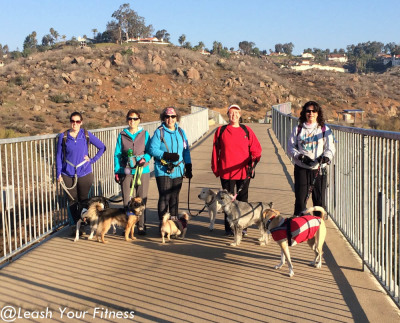 Lake hodges bridge