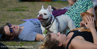 frenchiesmiling