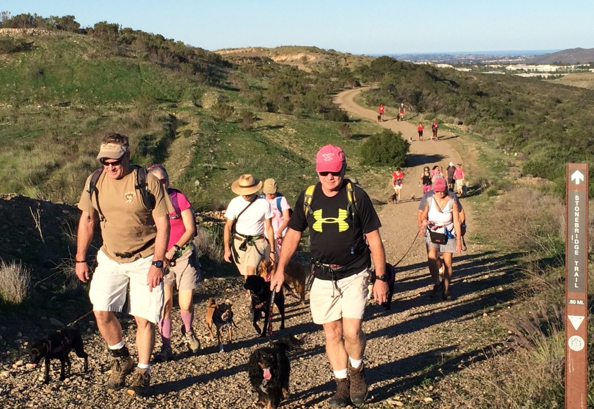 hikers-1180x813.jpg