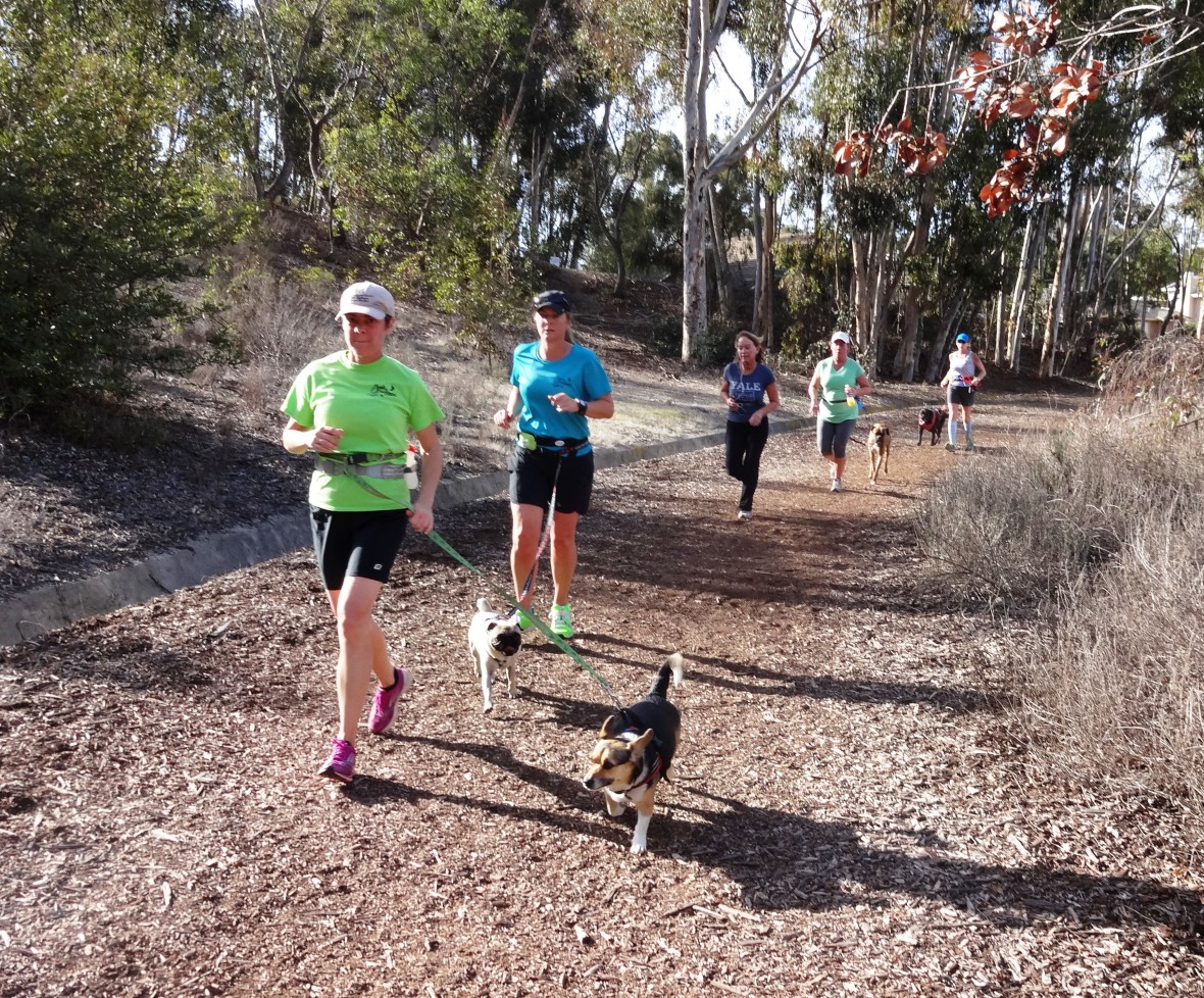 rungroup-1180x978.jpg