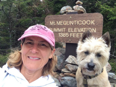 mt megunitook 