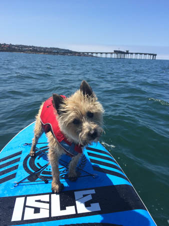 ob pier