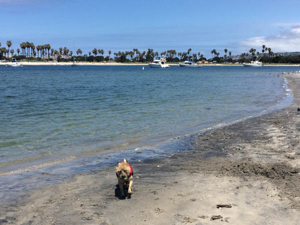 pacific beach