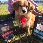 Our dogs LOVED TruDog