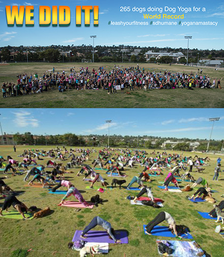 dog yoga record
