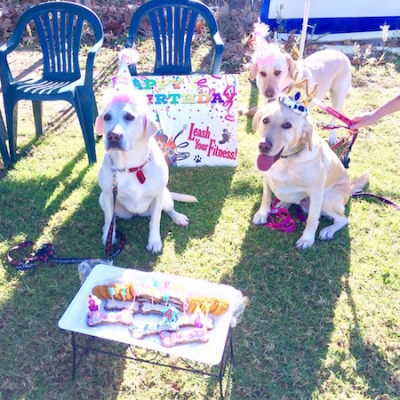 labsbday