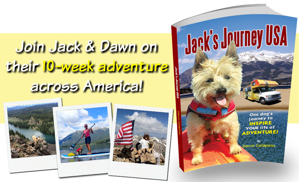 Jacks Journey USA -- transparent book and title