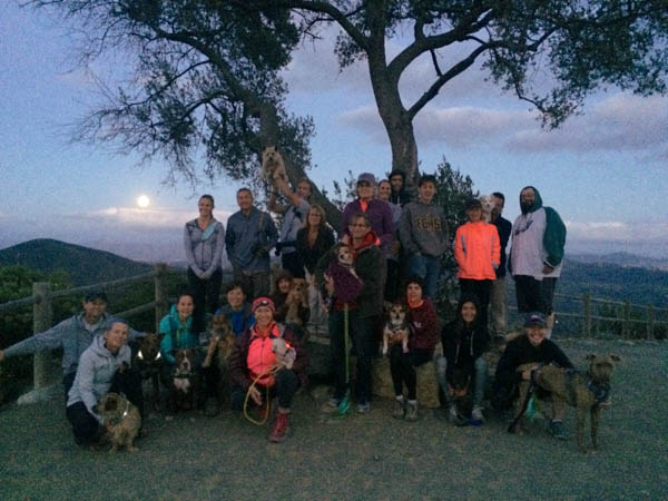 group double peak
