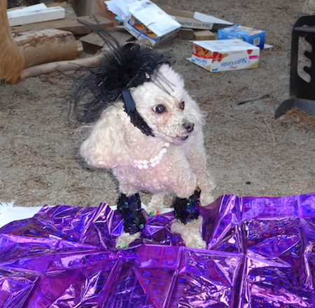 mimi best dressed