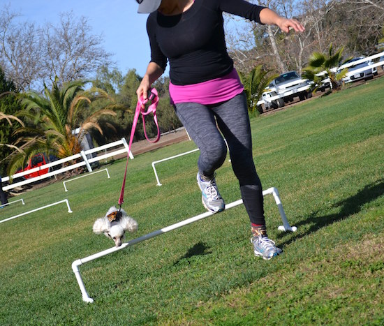 mimijump