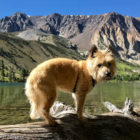 Parker Lake Hike